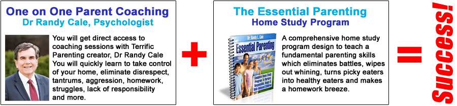 one on one parent coaching