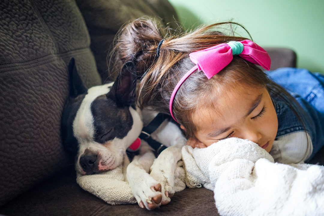 family-pet-and-children